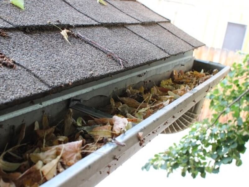 Roof Gutter Drains Cleaning
