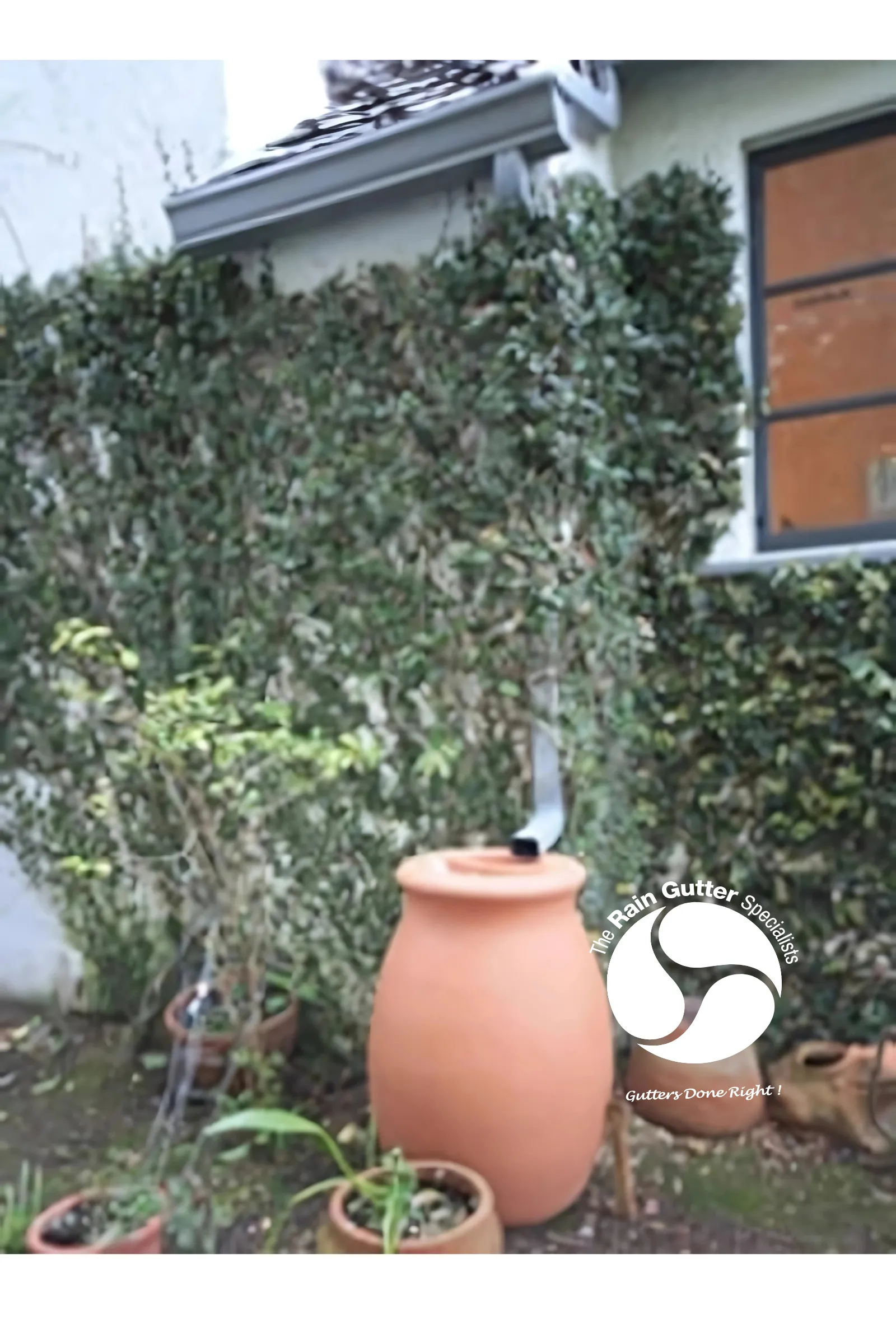 What Are Rain Barrels