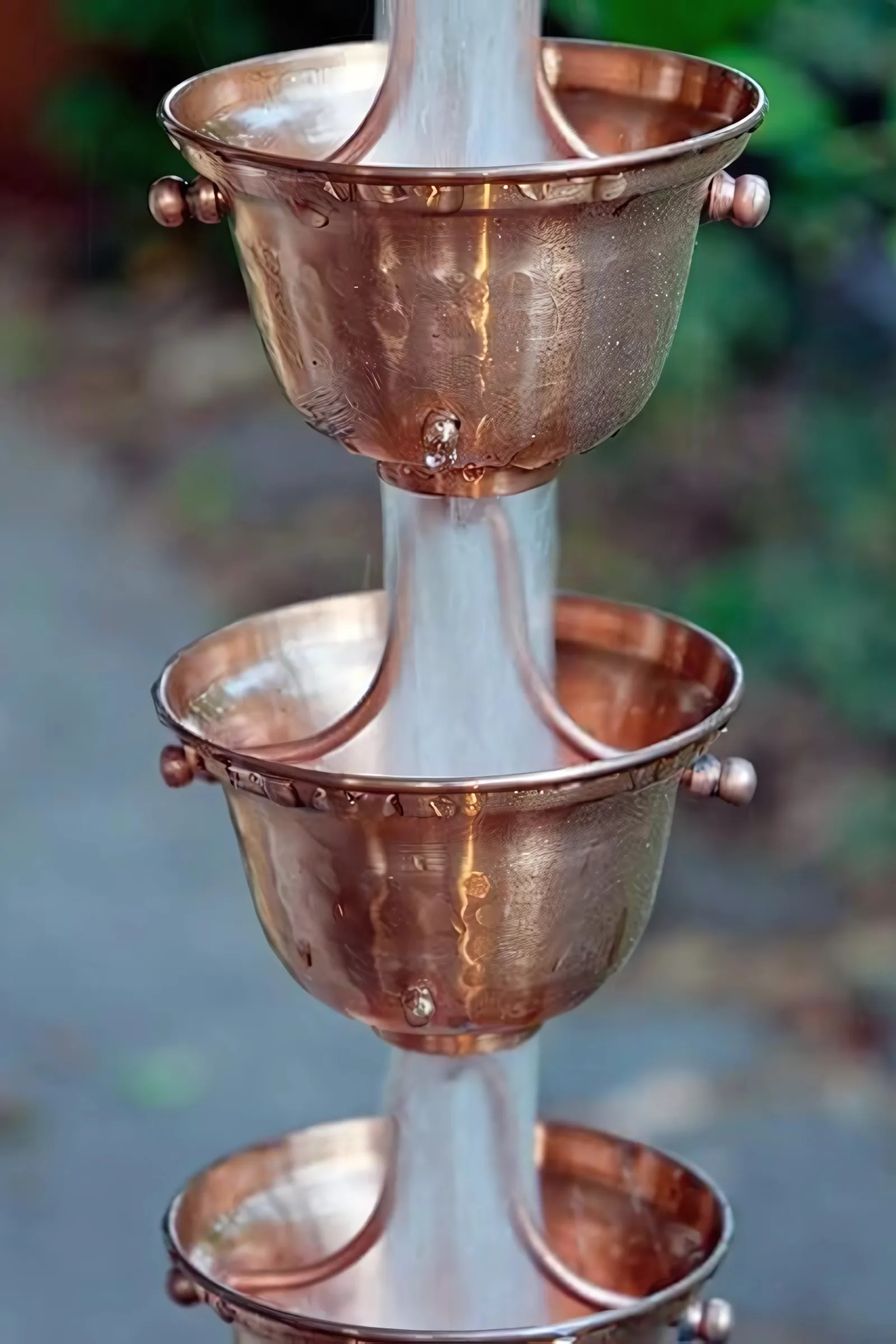 Copper Bells™ thumbnail 2