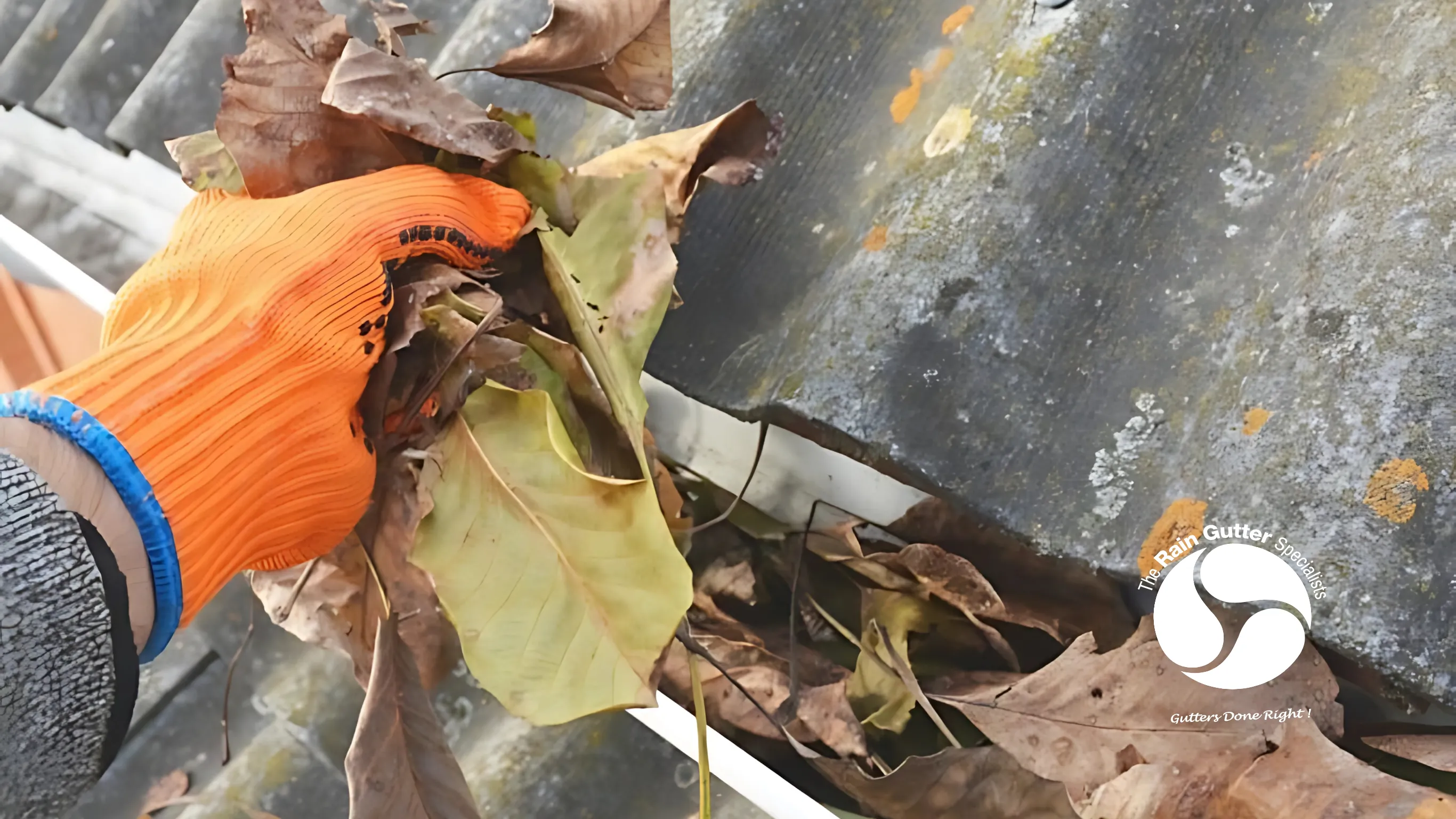 Cleaning debris from a clogged rain gutter with gloves.
