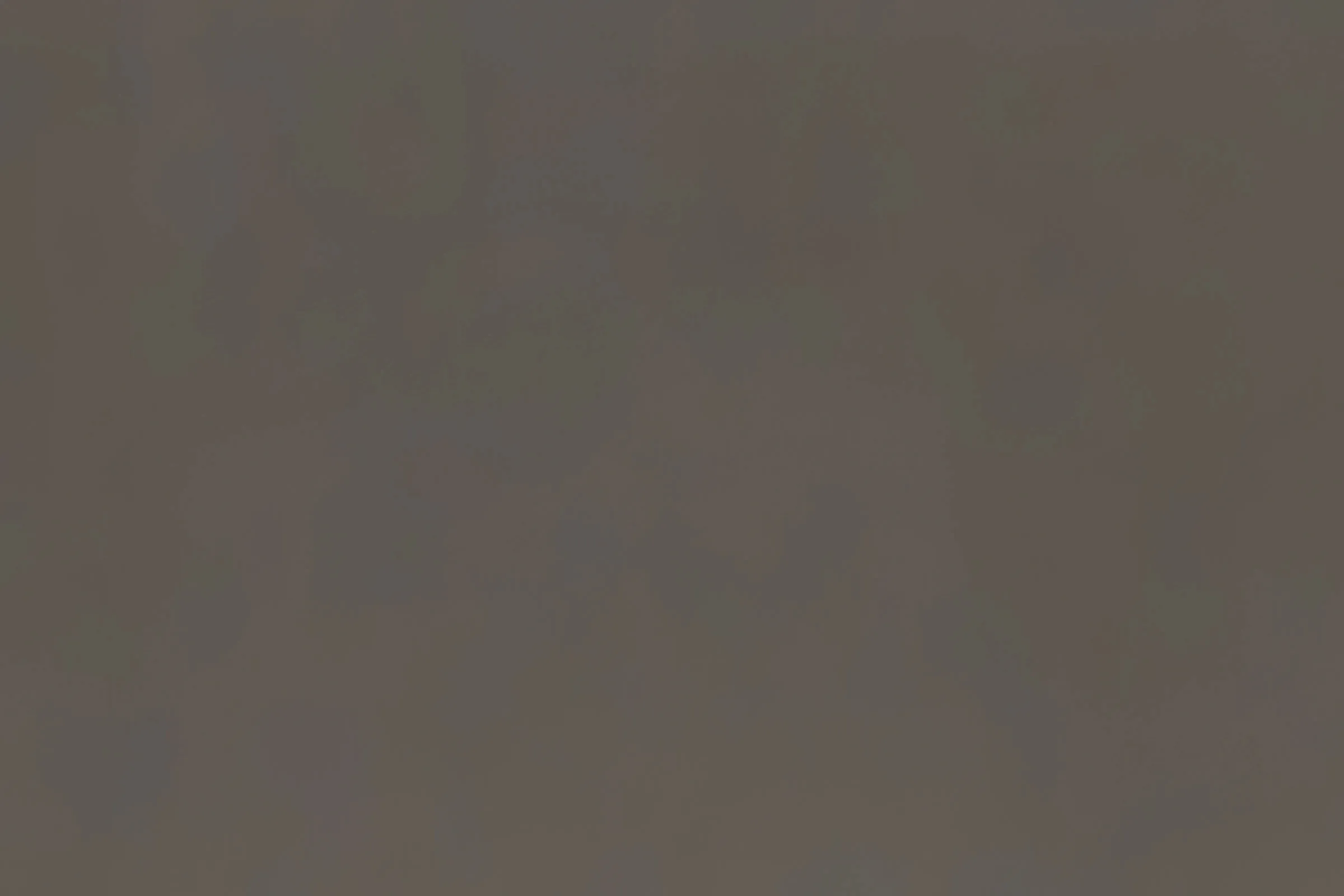 Light Bronze