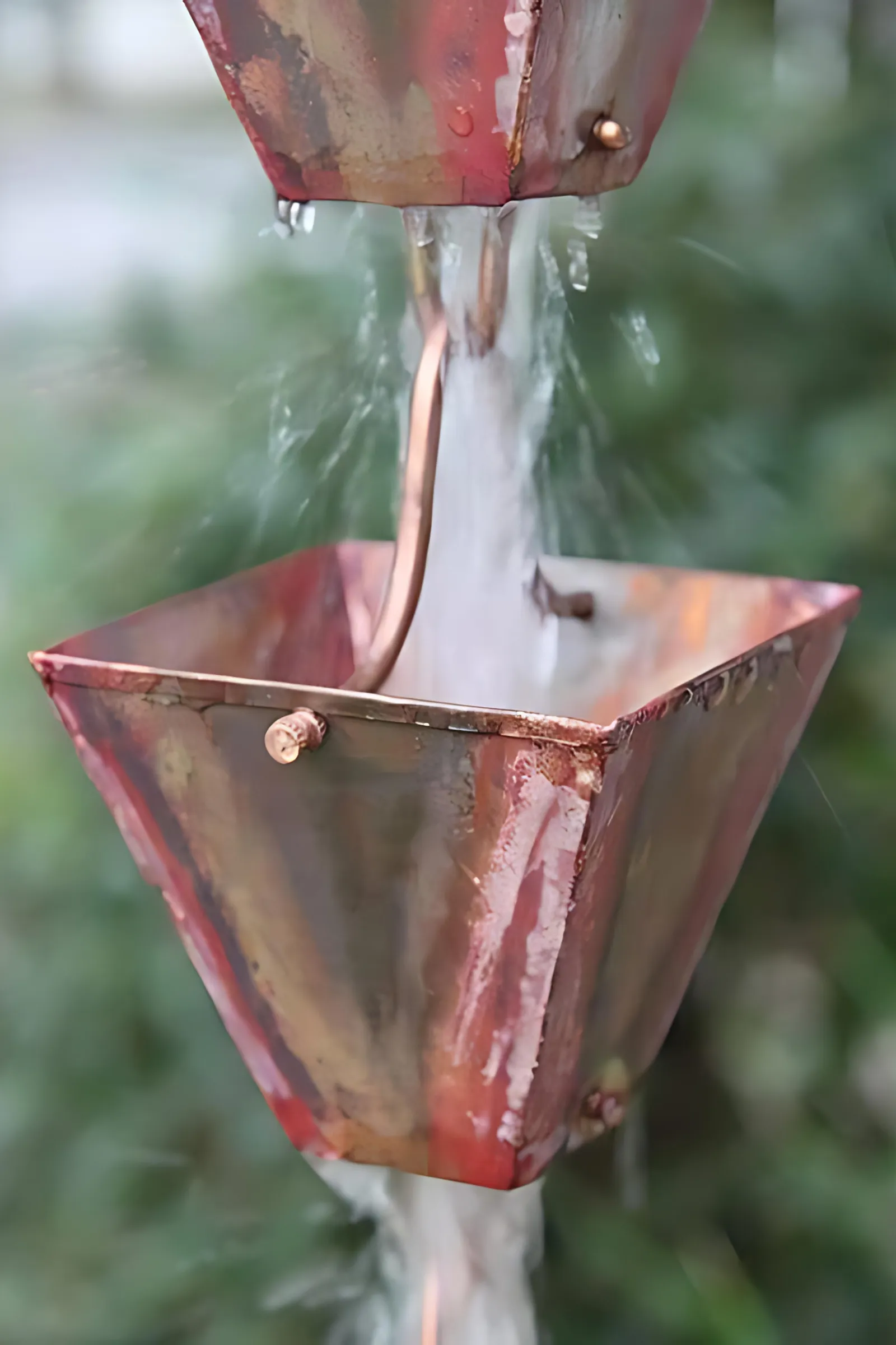 Medium Square Cups