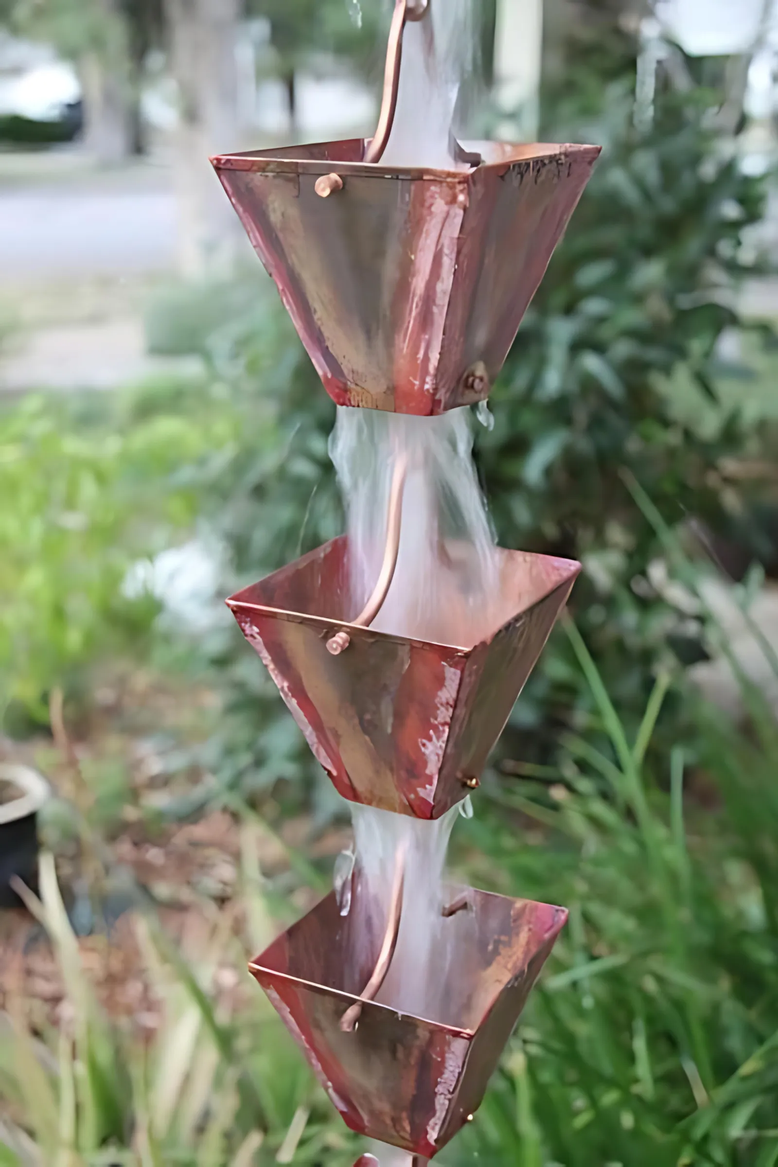 Medium Square Cups thumbnail 2