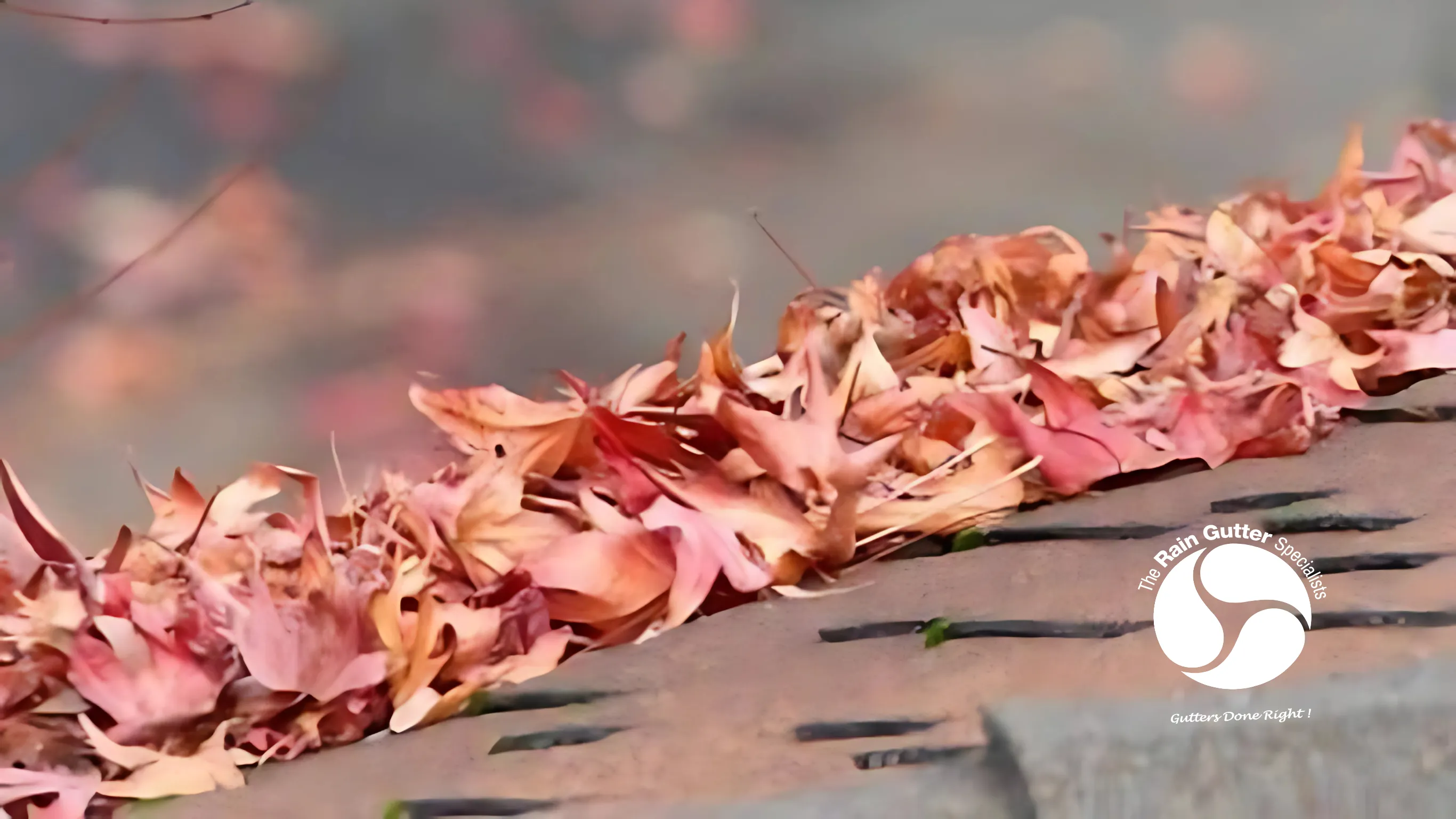 Leaves and pine needles clogging up a rain gutter system